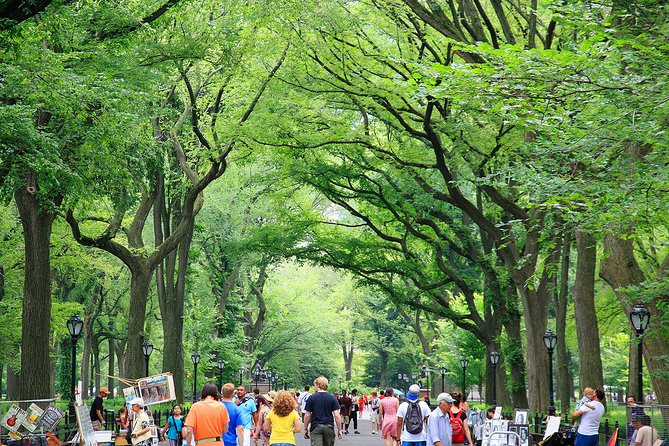 Central Park Photography Tour with Local Photographer - Naumburg Bandshell to Central Park: practicing settings on the move