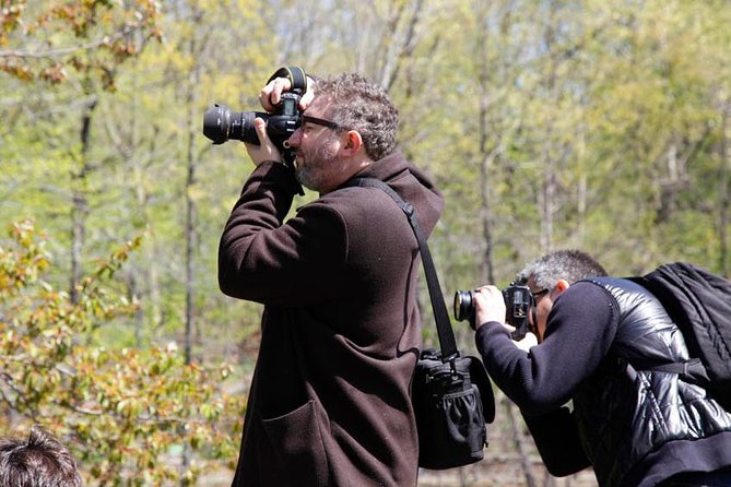 Central Park Photography Tour with Local Photographer - Price and value: what $100 really buys you here