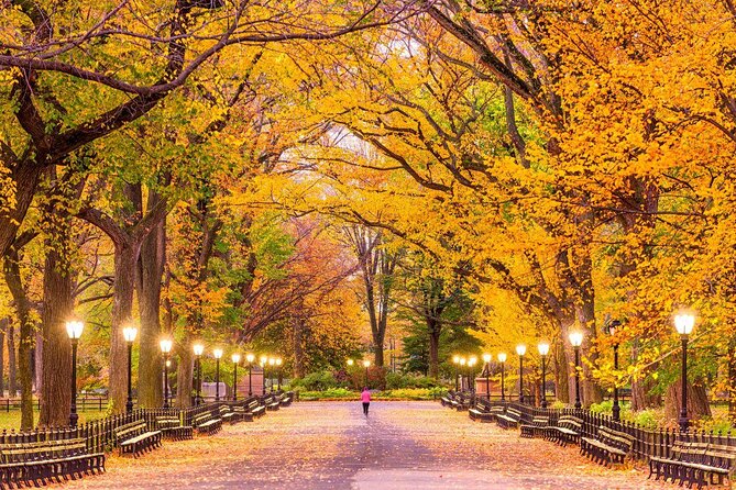 Central Park Private Photoshoot Tour with Pro NYC Guide - Key takeaways before you go