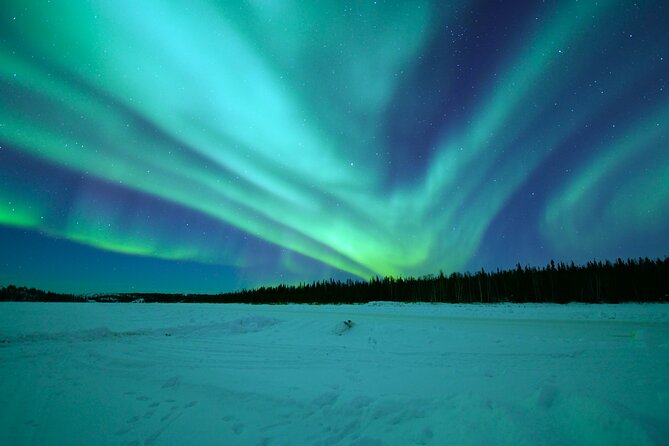 Chasing Aurora with Photographer - Small Group - Campfire warmth: sausages, hot drinks, and a night story