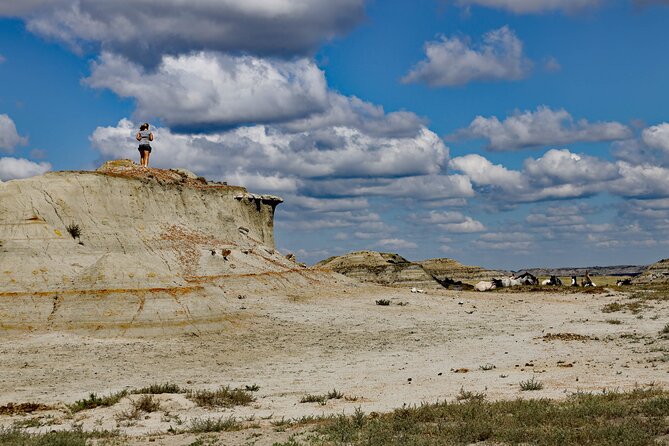 Chasing Horses Back to Nature Experience in North Dakota - Key things I think you’ll care about