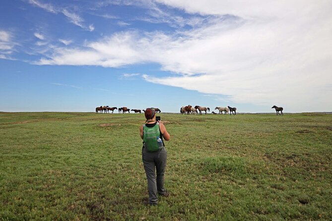 Chasing Horses Back to Nature Experience in North Dakota - A horse photo tour that fixes the hardest part first