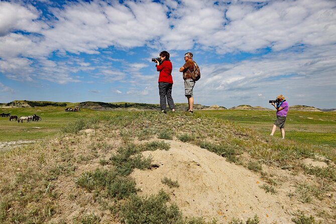 Chasing Horses Back to Nature Experience in North Dakota - The meeting point in Medora: start clean, not confused
