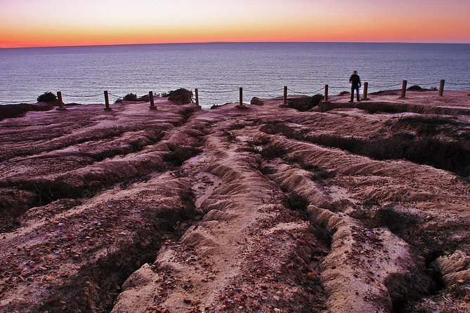 Coastal Beauty - Private Sunset & Night Photography Tour - Stop 2: La Jolla Cove for quick wildlife and that small-beach feeling