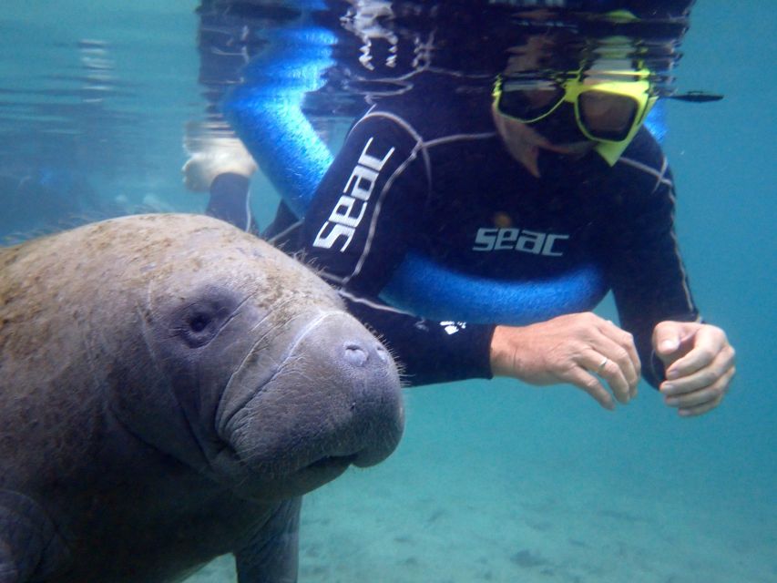 Crystal River: Manatee Snorkel Tour w/ In-Water Photographer - The Covered Pontoon Boat Ride Through the Wildlife Refuge