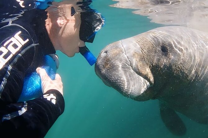 Crystal River: Private Manatee Swim With Heated Boat(Free Photos) - Why This Private Crystal River Manatee Swim Feels Different