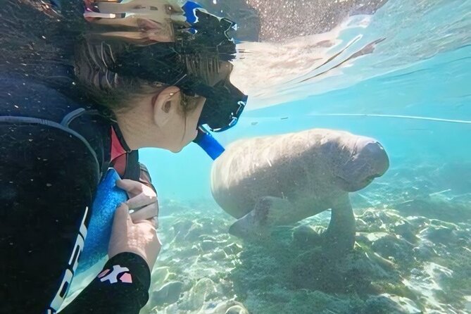 Crystal River: Private Manatee Swim With Heated Boat(Free Photos) - Gear, Timing, and the 3-Hour Flow (What You’ll Actually Do)