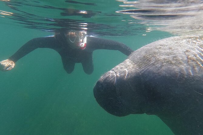 Crystal River: Semi-Private Manatee Swim Tour With Heated Boat - Semi-Private Manatee Swim in Crystal River: the comfort-first setup