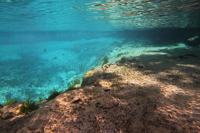 Crystal River: Semi-Private Manatee Swim Tour With Heated Boat - Where the day starts: check-in, wetsuit fitting, and getting your bearings