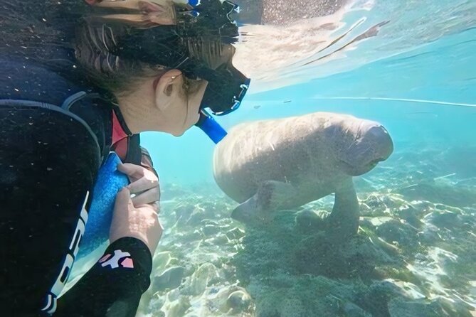 Crystal River: Semi-Private Manatee Swim Tour With Heated Boat - Who should book this manatee swim (and who might want a different plan)