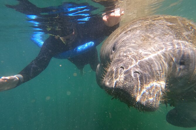 Crystal River: Semi-Private Manatee Swim Tour With Heated Boat - The heated boat ride: what you’re doing while you wait for manatees