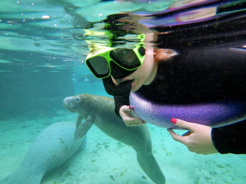 Crystal River: VIP Manatee Swim w/ In-water Photographer - The briefing: classroom-style so you swim like a pro