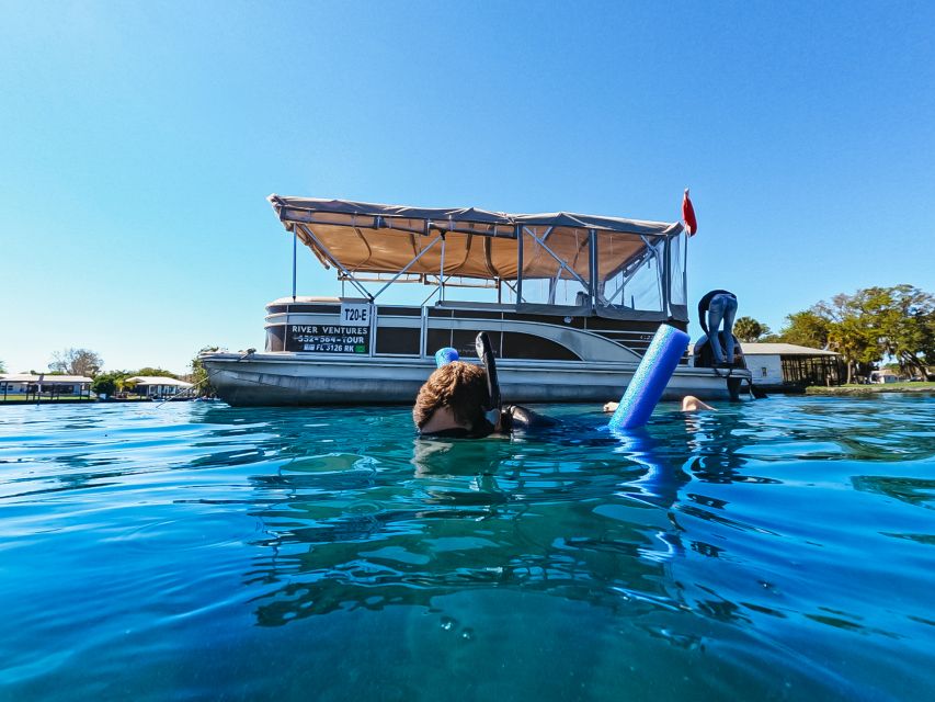 Crystal River: VIP Manatee Swim w/ In-water Photographer - In-water with manatees: what a good encounter looks like
