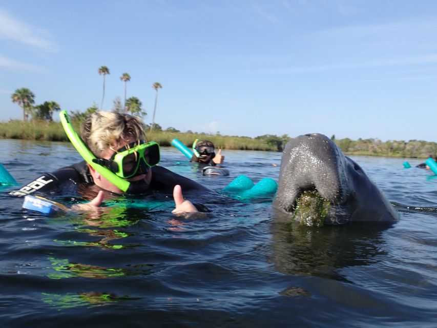 Crystal River: VIP Manatee Swim w/ In-water Photographer - The in-water educator and photographer: how the “VIP” part pays off