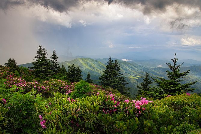 Custom Half-Day Photo Tour with Photography Lessons from Asheville - Pickup within 40 miles: time saved, stress reduced