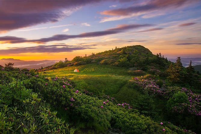Custom Half-Day Photo Tour with Photography Lessons from Asheville - Who this tour is for (and who might want a different plan)
