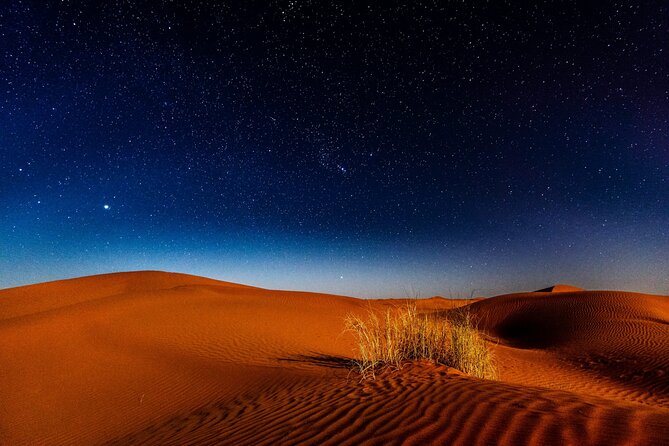 Doha Night Desert Safari, Stargazing, Photography، Relaxation - Camel Ride Option: Slow Pace for People Who Want a Break