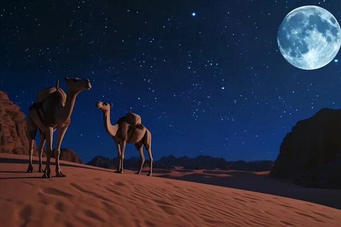 Doha Night Desert Safari, Stargazing, Photography، Relaxation - Time and Pace: What 3 to 4 Hours Feels Like