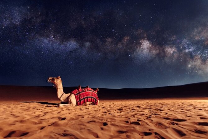 Doha Night Desert Safari, Stargazing, Photography، Relaxation - Who This Desert Safari Suits Best