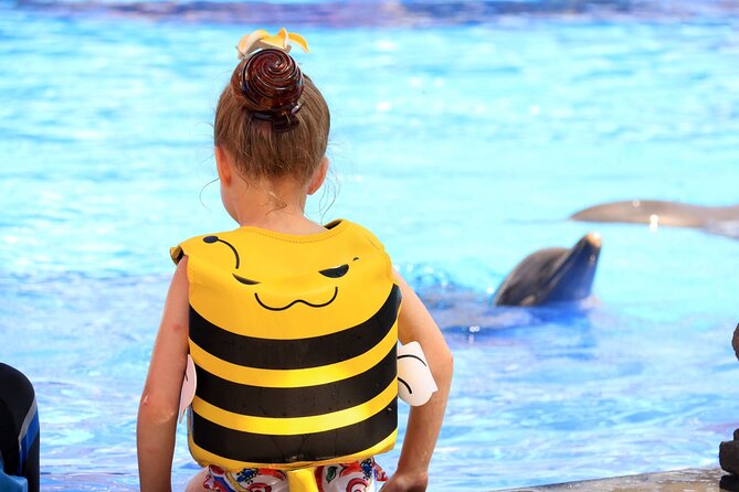 Dolphin Show & Photoshoot Package with Transfer from Hurghada - Key things that make this dolphin package worth a look