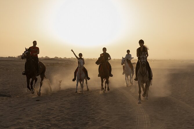 Dubai Desert Horseback Safari with Photoshoot - JSR Equestrian Club: where the safari starts