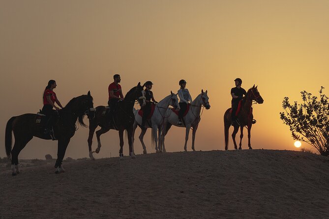 Dubai Desert Horseback Safari with Photoshoot - The 1-hour ride through the dunes at 4:00 pm