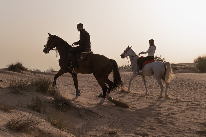 Dubai Desert Horseback Safari with Photoshoot - Desert wildlife: what you’ll realistically notice