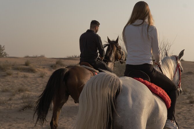 Dubai Desert Horseback Safari with Photoshoot - Private group format: why it feels more personal