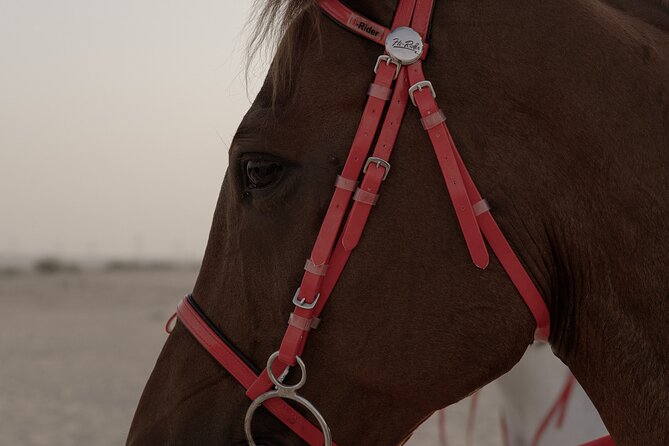 Dubai Desert Horseback Safari with Photoshoot - Pickup options and the meeting point you should actually find