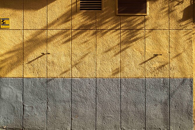Excellent Private Photography Walking Tour & Workshop in Valencia - Who should book this private photo walk (and who should skip)