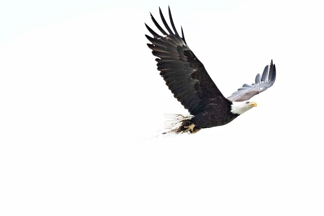 Exclusive Photography Tour Haines Departure - Pickup and timing: the day is built to start easy