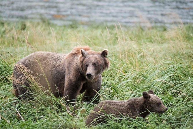 Exclusive Photography Tour to Haines - Skagway Departure - Chilkoot Lake State Recreation Area: variety without wasting time