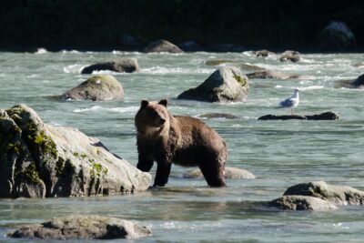 Exclusive Photography Tour to Haines - Skagway Departure - Why the day feels exclusive (and why that matters)