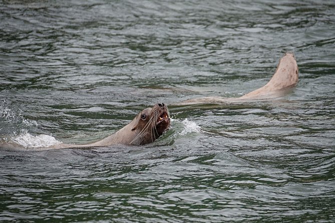 Exclusive Photography Tour to Haines - Skagway Departure - Price and value: what $356 buys you on this kind of day