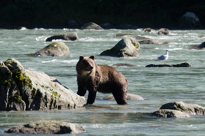 Exclusive Photography Tour to Haines - Skagway Departure - Why the day feels exclusive (and why that matters)