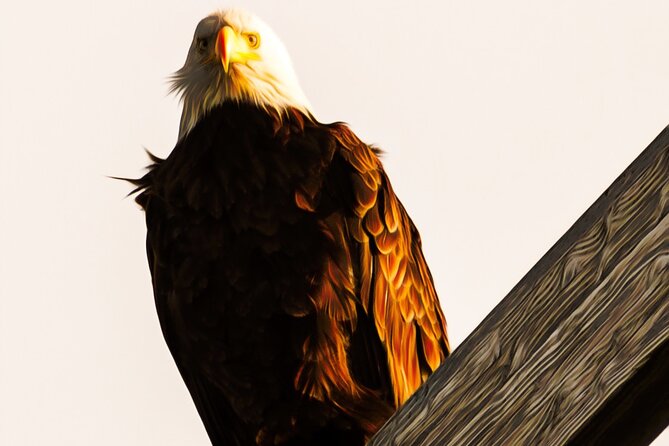 Exquisite Wildlife & Wilderness Photo Tour Anchorage -Whittier - Chugach State Park Headquarters and the Alaska railroad snowblower