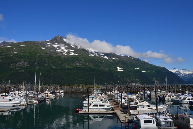 Exquisite Wildlife & Wilderness Photo Tour Anchorage -Whittier - Whittier time: a chance to slow down in town
