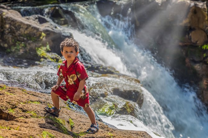 Family Photography session Kauai - Private Family Photos on Kauai: What You Really Get for $400