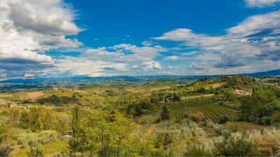 Florence Countryside 2.5h Premium E-Bike Tour + Photo Shoot - Arcetri break and photo stop: your first taste of views (and camera time)