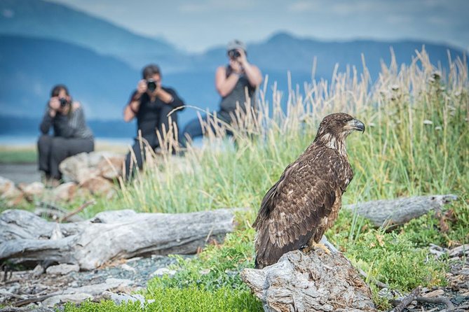 Focus on Haines Private Nature / Photography tour - Fort Wm H Seward: where totems meet Alaska’s early Army base