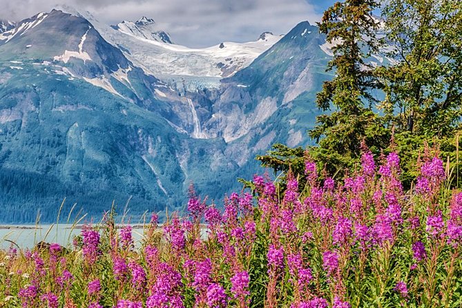Focus on Haines Private Nature / Photography tour - Price and value: $600 for up to four people