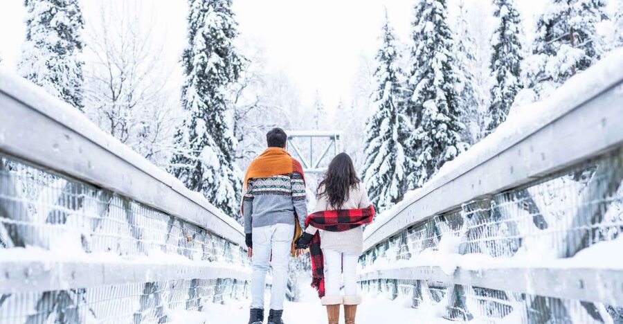 From Rovaniemi: Private Photoshoot in the Lappish Wilderness - Pickup from Rovaniemi: short drive, big change of scenery