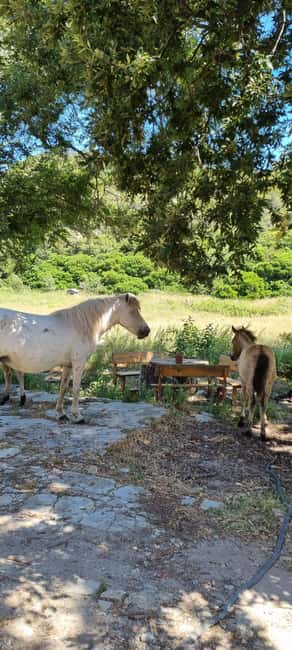 From Tirana: Cape of Rodon Sunset Photography Tour & Hiking! - Enver Hoxha bunkers and Albanian flags: history you can’t ignore