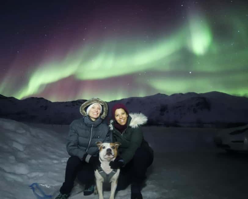From Tromso: Northern Lights Photography Tour - Campfire Comfort and Photo Portraits Under the Lights