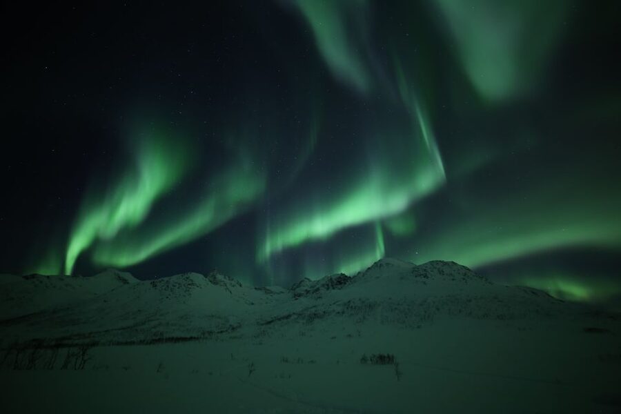 From Tromso: Northern Lights Photography Tour - Photography Help: Getting Better Results Without Extra Stress