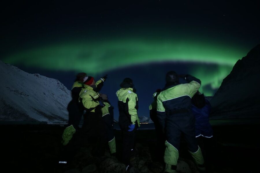 From Tromso: Northern Lights Photography Tour - What Else You Might See Besides Green Light