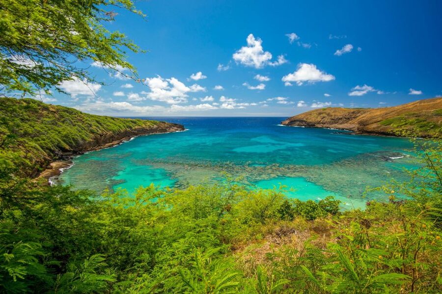 From Waikiki: Best of Oahu Photo Tour with Pickup - The Makapu’u Point to Halona Blowhole stretch: ocean color, cliff lines, and timing