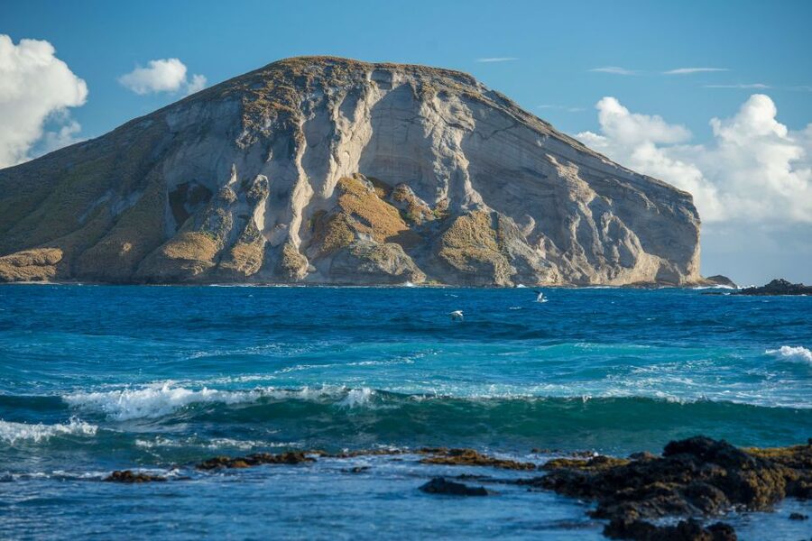 From Waikiki: Best of Oahu Photo Tour with Pickup - Lunch at Ono Steaks and Shrimp Shack, plus Leonard’s Malasada