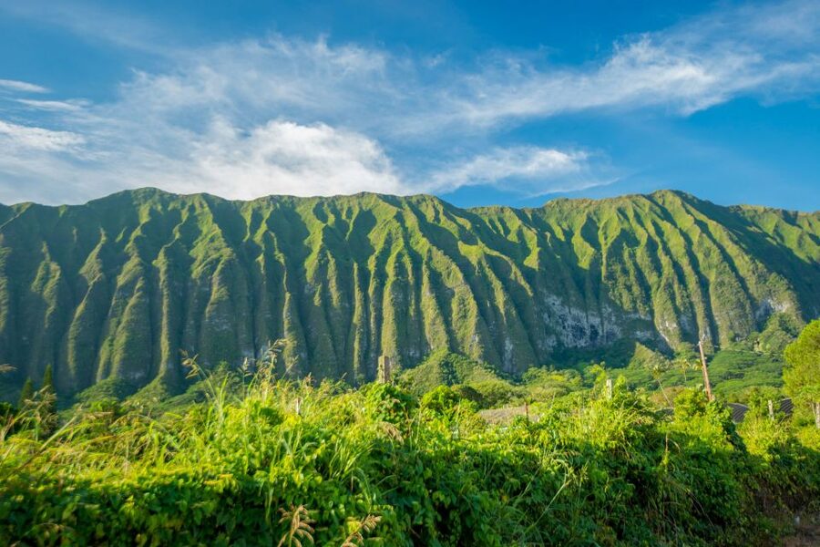 From Waikiki: Best of Oahu Photo Tour with Pickup - Price and value: why $99 can make sense for short stays