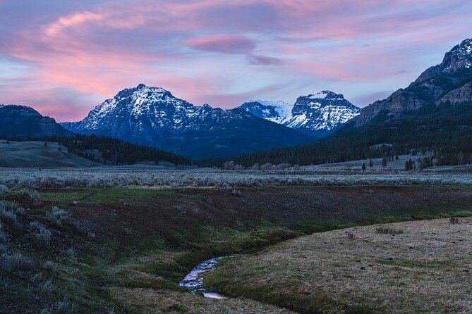 Full Day Guided Wildlife Photography Tour In Yellowstone - Key things that make this tour work